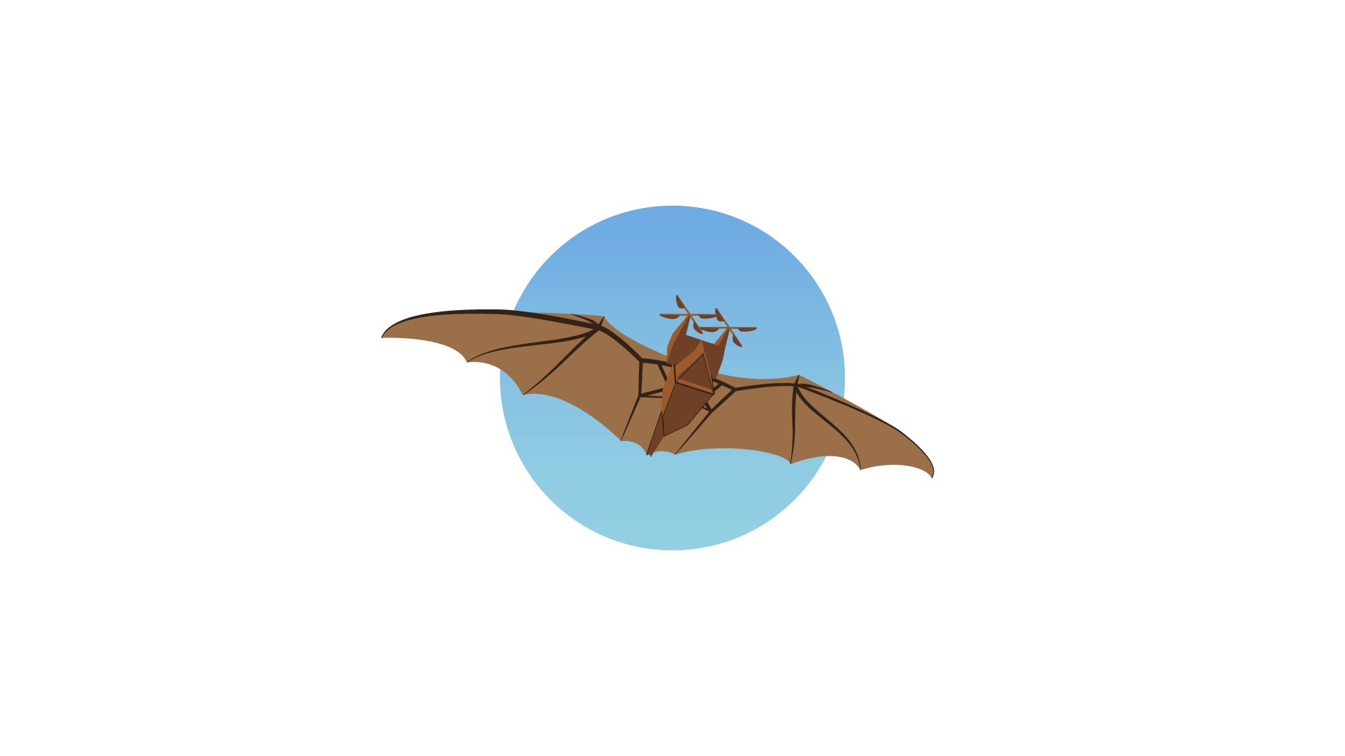 FLYING MACHINE