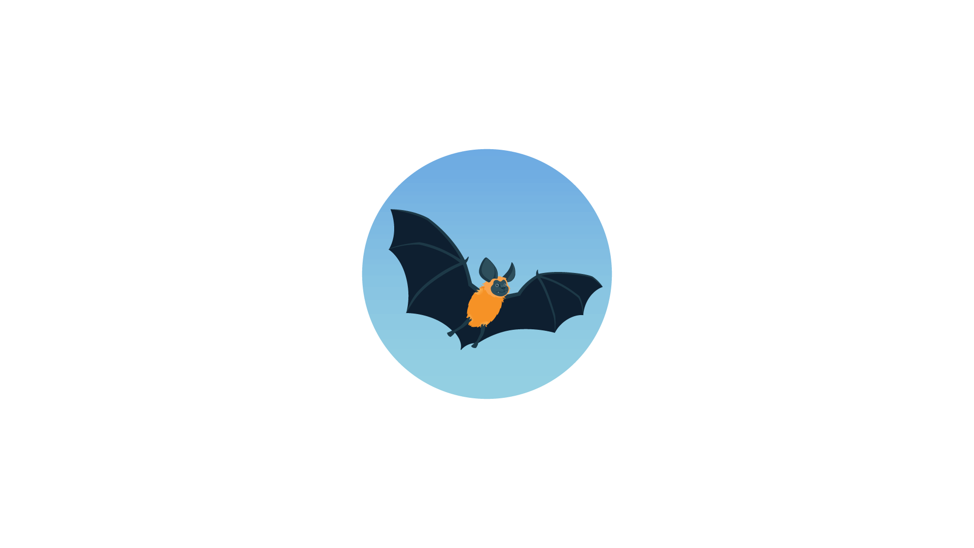 BAT IN FLIGHT